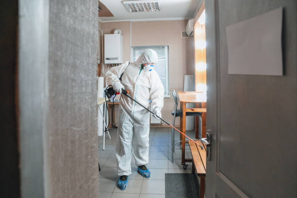 Best Post-Construction Mold Inspection  in Monticello, UT