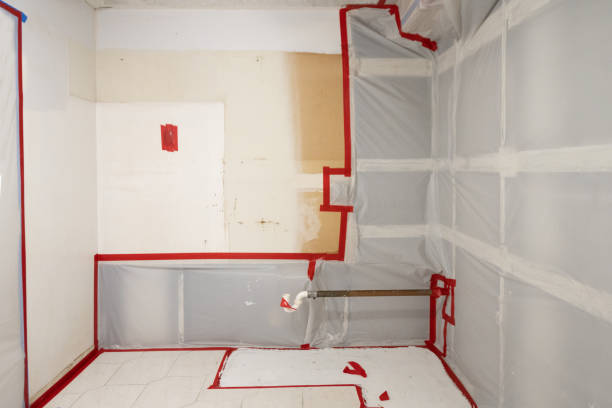 Best Basement Mold Removal  in Monticello, UT
