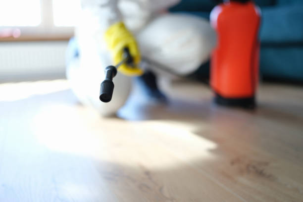 Best Water Damage & Mold Remediation  in Monticello, UT