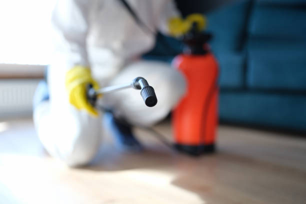 Best Indoor Air Quality Assessment  in Monticello, UT