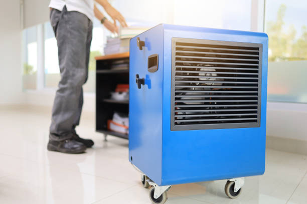 Best Mold Remediation for Healthcare Facilities  in Monticello, UT