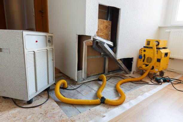  Monticello, UT Mold Removal Pros