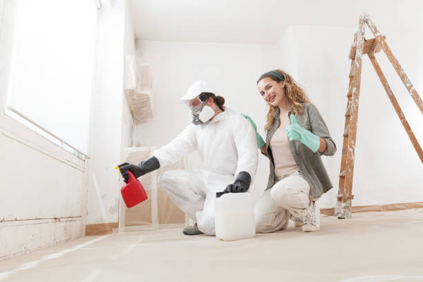 Trusted Monticello, UT Mold Removal Experts