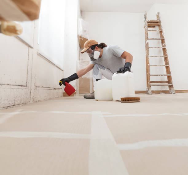 Best Basement Mold Removal  in Monticello, UT