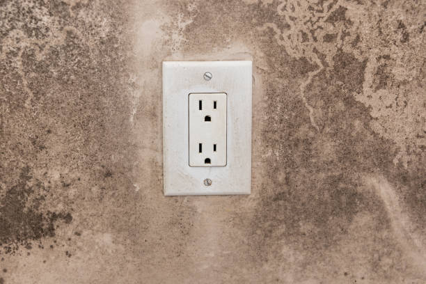 Best Mold Documentation for Insurance Claims  in Monticello, UT